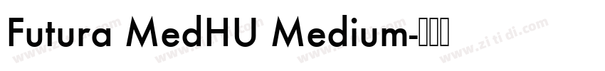 Futura MedHU Medium字体转换